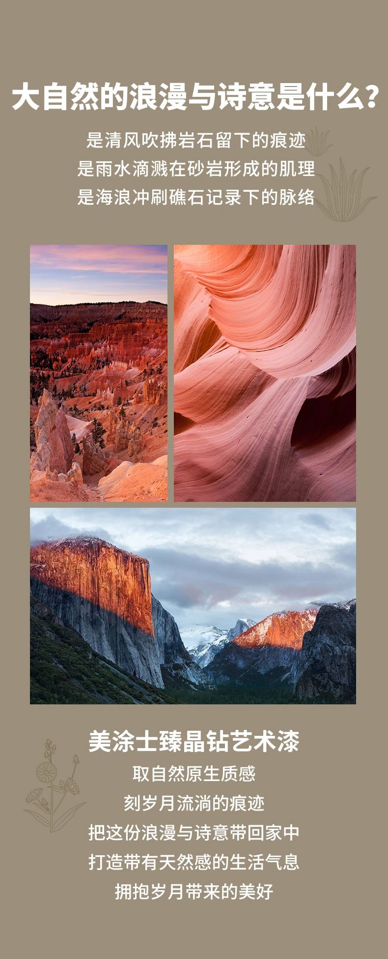 金沙娱场城8303(中国)有限公司官网